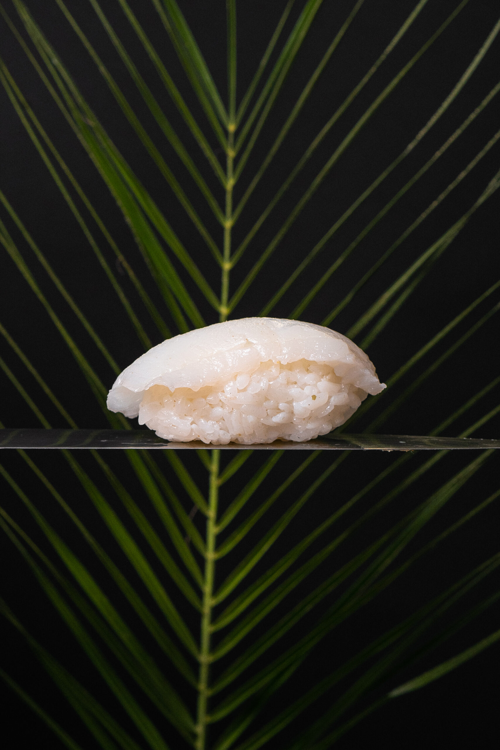 nigiri-z-paltusom-scaled